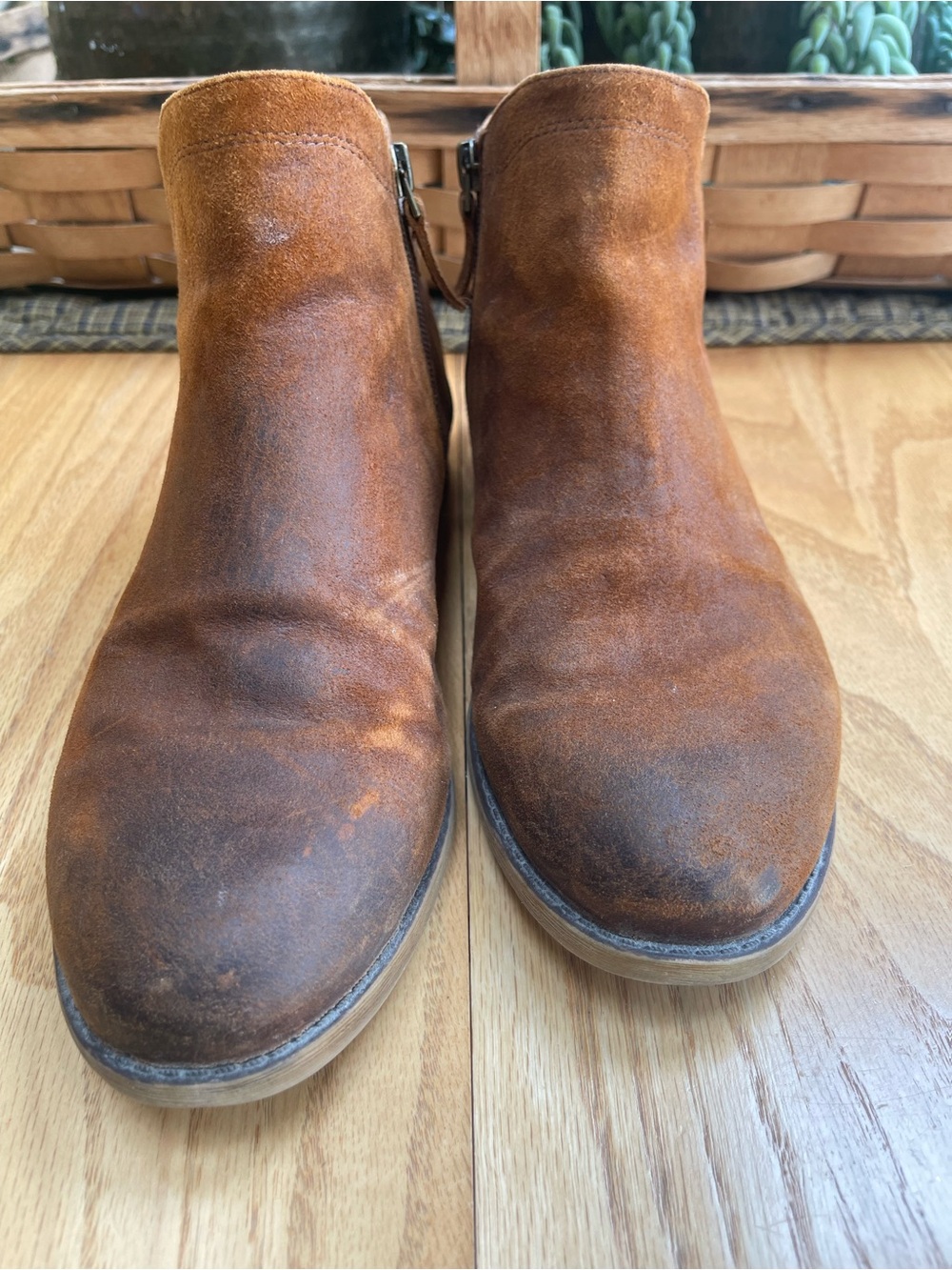 Franco Sarto Suede Ankle Booties in Cognac Brown